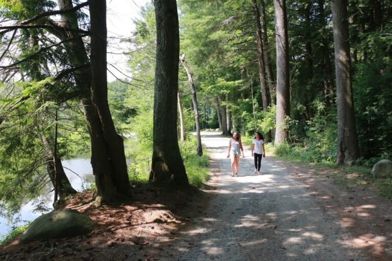 Walking in the Forest